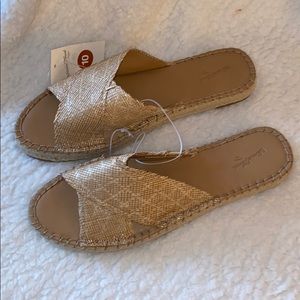 Brand New Women Slip Ons